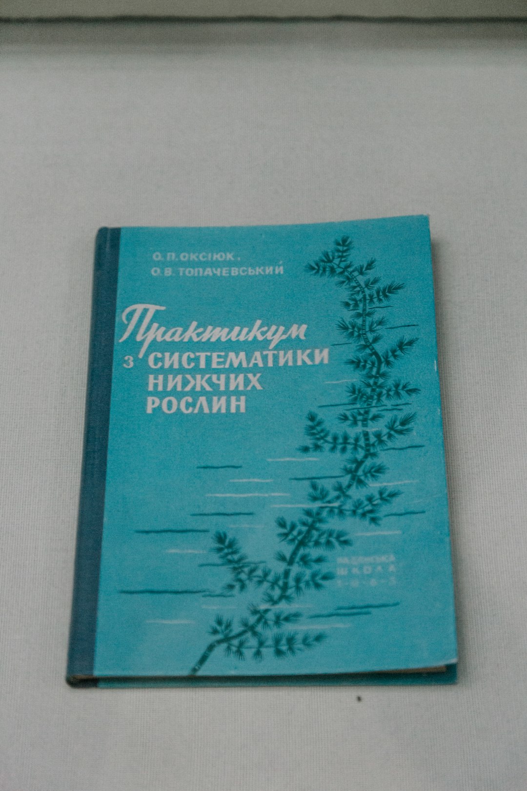 Ejemplo de diseño web inclusivo